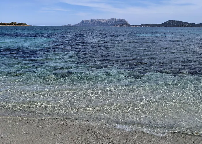 Konukevi La Promenade & Olbia